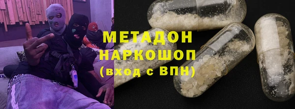 гашик Алексин