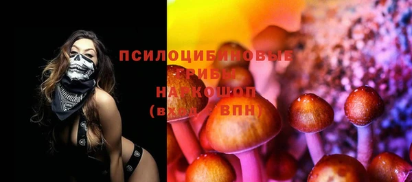 гашик Алексин