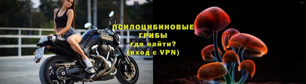 гашик Алексин
