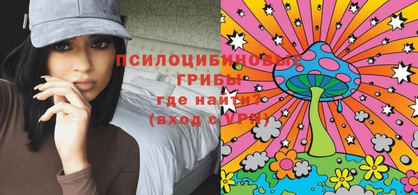 гидра Алзамай