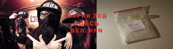 гашик Алексин