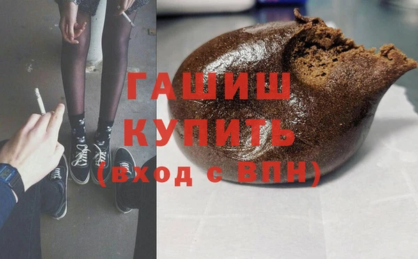 гашик Алексин