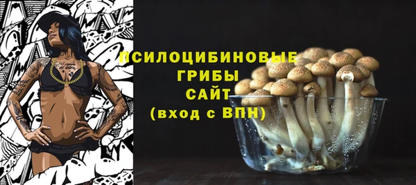 apvp Алексеевка
