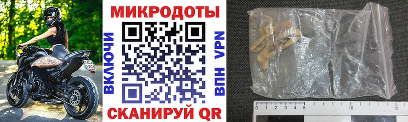 Псилоцибиновые грибы Cubensis  закладка  Новая Ладога 