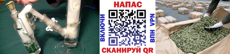 купить наркотик МЕГА как зайти Конопля марихуана Новая Ладога